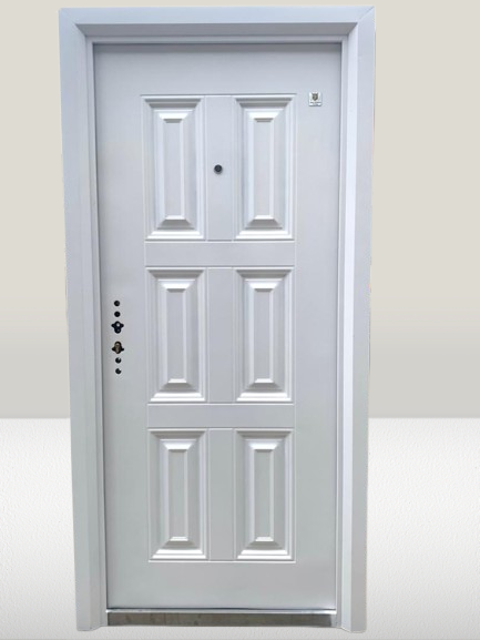 SINGLE SECUITY DOORS